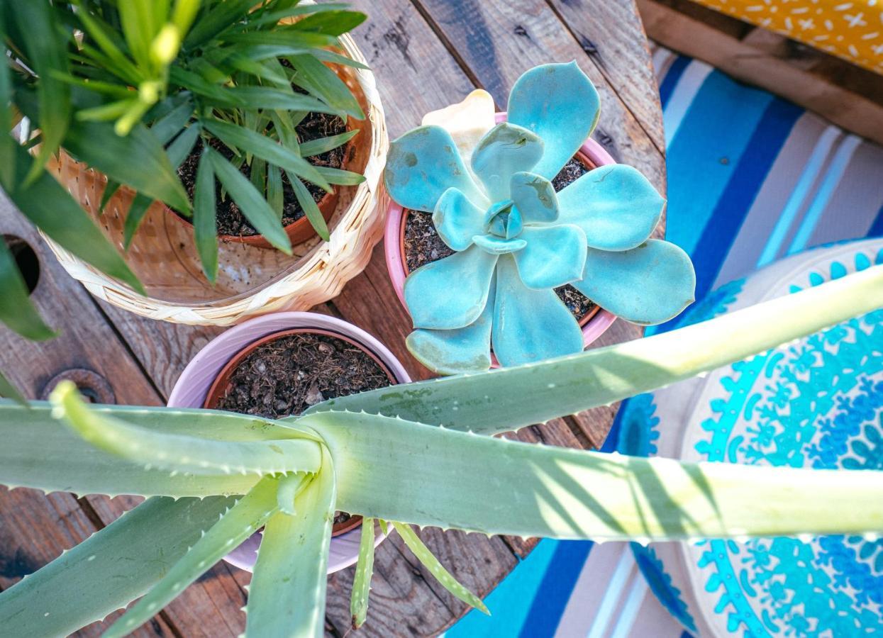 Appartamento The Kalifornia I Stilvoll Mit Urlaubsfeeling I Dachterrasse I Klima Karlsruhe Esterno foto